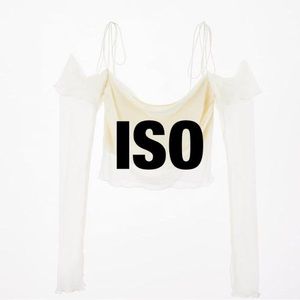 ISO zara top
